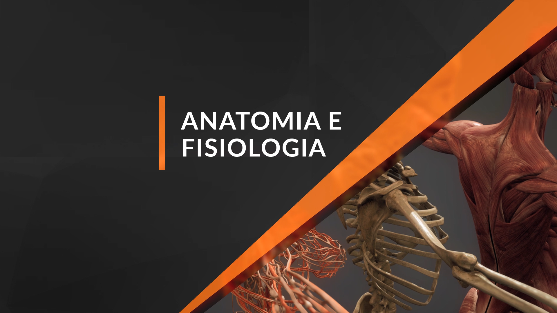 NOÇÕES DE ANATOMIA E FISIOLOGIA